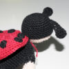 Coccinella – Bild 4